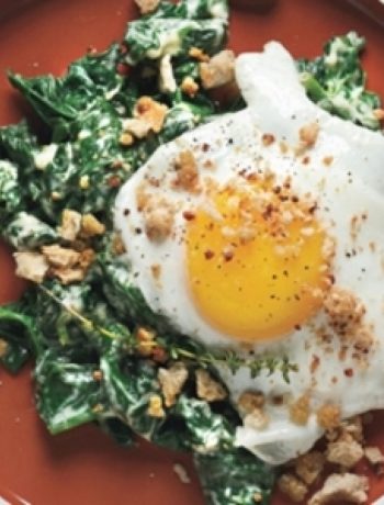 Sunny-Side-up Eggs on Mustard-Creamed Spinach with Crispy Crumbs recipes