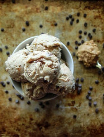 No-churn Vegan Peanut Butter Chocolate Chip Ice Cream recipes
