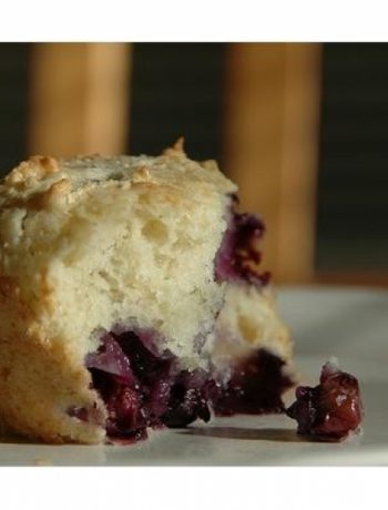 Blueberry Sweet Muffins