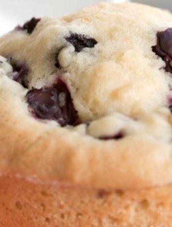 Blueberry Coconut Muffins [gluten-free]
