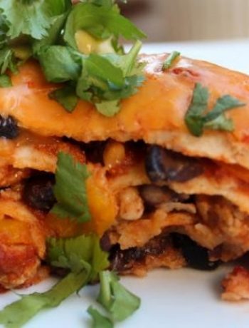 Mexican Lasagna with Chicken & Black Bean