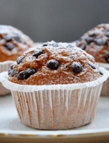 Chocolate Chip Coconut Muffins
