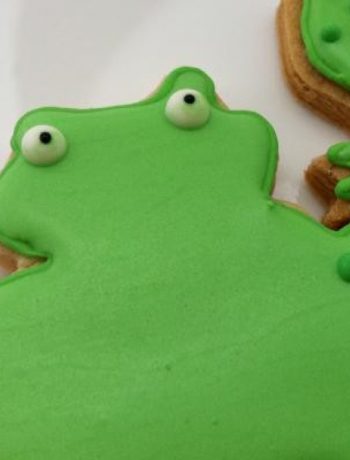Brown sugar & Spice Sugar cookie frogs