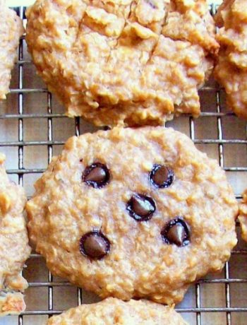 Watching What I Eat: Peanut Butter Banana Oat Breakfast Cookies with Carob / Chocolate Chips