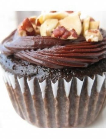 Basic Chocolate Cupcakes