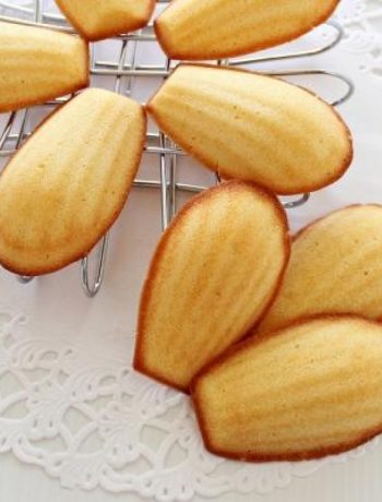 Yoghurt Honey Madeleines