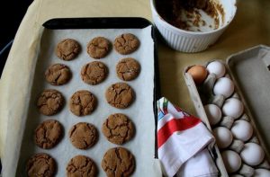 Ginger Molasses Rounds