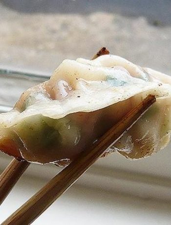 Japanese Gyoza Pot Stickers