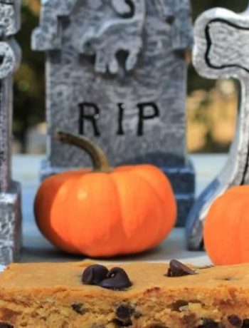 Creamy Choco-Pumpkin Bars